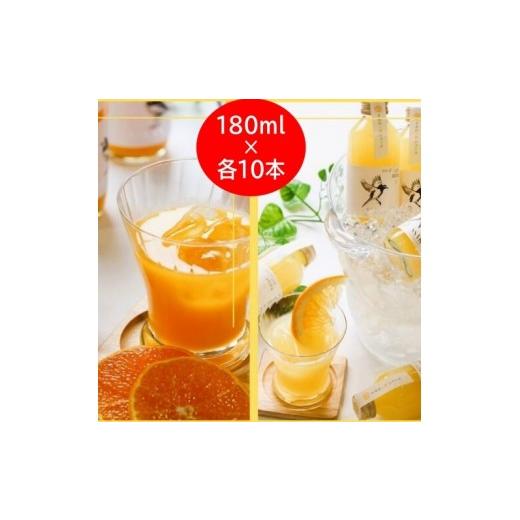 ふるさと納税 果物類 和歌山県 紀美野町 きみの 蜜柑&八朔ジュース 180mL×各10本 / 果汁 ジュース オレンジジュース ドリンク セット 有機 無添加 100% km…