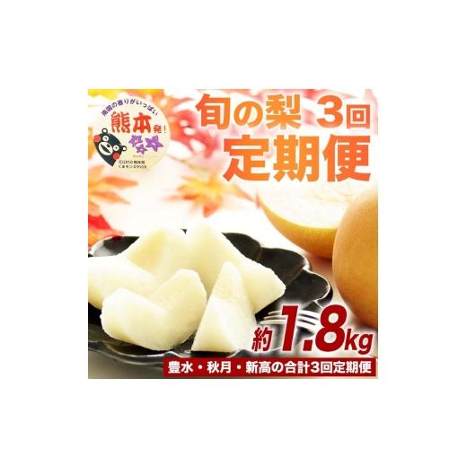 ふるさと納税 梨 熊本県 錦町 定期便3回 梨 約1.8kg×3回 計約5.4kg 豊水 秋月 新高 8月〜10月出荷 梨 なし 果物 フルーツ デザート 食後 熊本県産 配送不可：…の画像