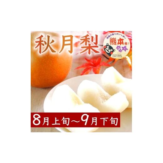 ふるさと納税 梨 熊本県 錦町 定期便3回 梨 約1.8kg×3回 計約5.4kg 豊水 秋月 新高 8月〜10月出荷 梨 なし 果物 フルーツ デザート 食後 熊本県産 配送不可：…の画像