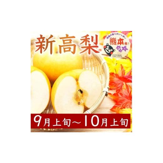 ふるさと納税 梨 熊本県 錦町 定期便3回 梨 約1.8kg×3回 計約5.4kg 豊水 秋月 新高 8月〜10月出荷 梨 なし 果物 フルーツ デザート 食後 熊本県産 配送不可：…の画像