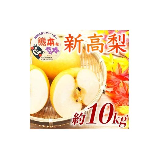 ふるさと納税 梨 熊本県 錦町 新高梨 約10kg（12〜32玉） 梨 なし 果物 フルーツ デザート 食後 熊本県産 配送不可：離島の画像