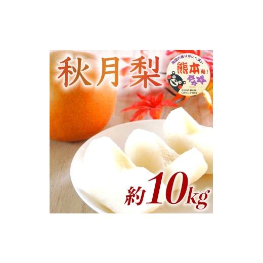 ふるさと納税 梨 熊本県 錦町 秋月梨 約10kg（12〜36玉） 梨 なし 果物 フルーツ デザート 食後 熊本県産 配送不可：離島の画像