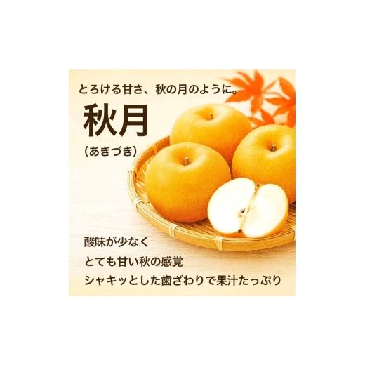 ふるさと納税 梨 熊本県 錦町 秋月梨 約10kg（12〜36玉） 梨 なし 果物 フルーツ デザート 食後 熊本県産 配送不可：離島の画像