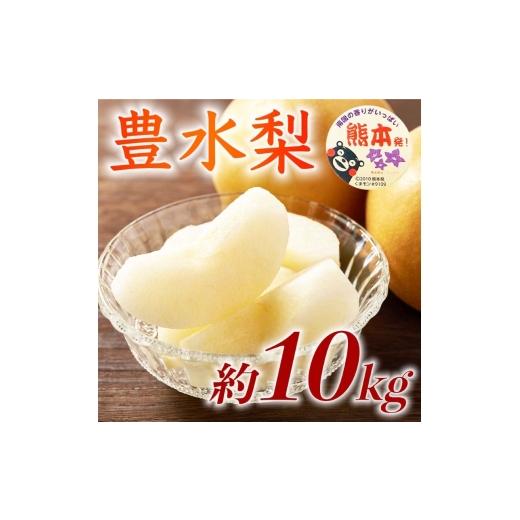 ふるさと納税 梨 熊本県 錦町 豊水梨 約10kg（12〜36玉） 梨 なし 果物 フルーツ デザート 食後 熊本県産 配送不可：離島の画像