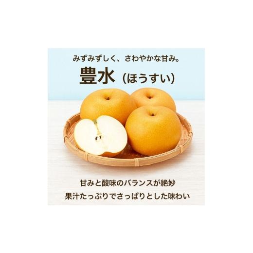 ふるさと納税 梨 熊本県 錦町 豊水梨 約10kg（12〜36玉） 梨 なし 果物 フルーツ デザート 食後 熊本県産 配送不可：離島の画像