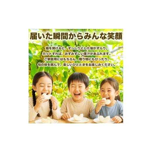 ふるさと納税 梨 熊本県 錦町 豊水梨 約10kg（12〜36玉） 梨 なし 果物 フルーツ デザート 食後 熊本県産 配送不可：離島の画像