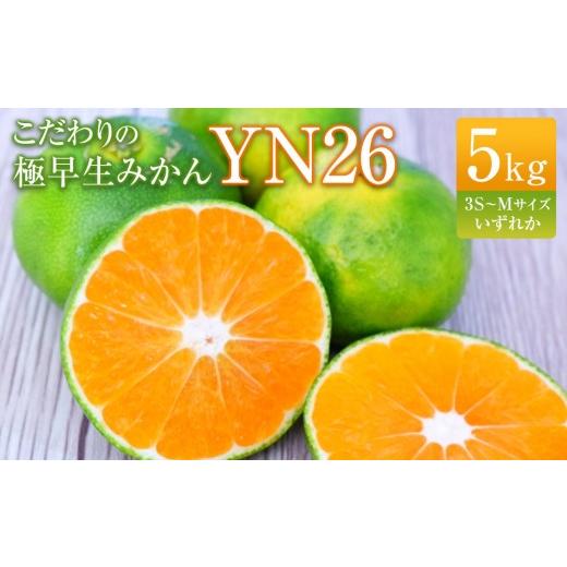 ふるさと納税 果物類 みかん 和歌山県 有田川町 こだわりの極早生みかんYN26 5kg 3S〜Mサイズいずれか