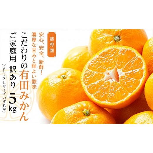 ふるさと納税 果物類 みかん 和歌山県 有田川町 こだわりの有田みかん ご家庭用 訳あり 5kg 2L〜3Lサイズいずれか
