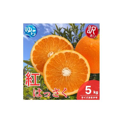 ふるさと納税 みかん・柑橘類 和歌山県 由良町 訳あり 和歌山県産 紅 はっさく(サイズおまかせ) 5kg / 八朔 ハッサク 柑橘 果物 和歌山 2027年2月中旬〜3…