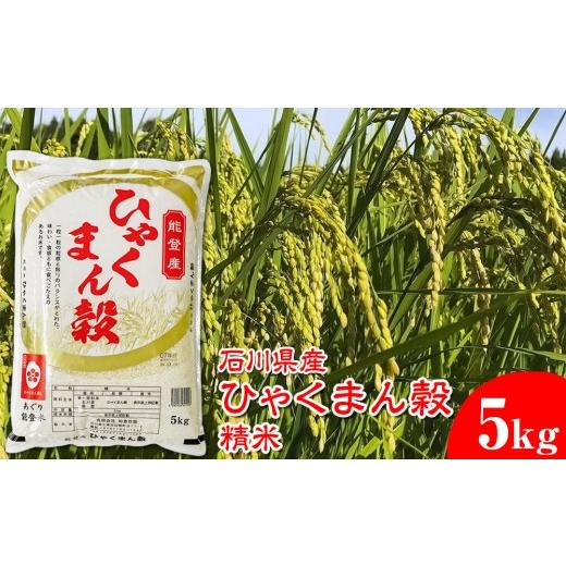 ふるさと納税 米 石川県 七尾市 石川県産 ひゃくまん穀精米 5kg