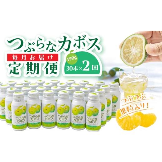 ふるさと納税 果汁飲料 大分県 国東市 毎月1ケース つぶらなカボス 2回定期便_2726R-1 2回定期便