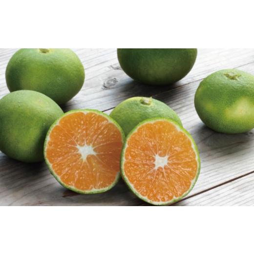 ふるさと納税 果物類 みかん 三重県 紀宝町 先行予約 みえ紀南1号 小玉 ご家庭用 2Sサイズ以下混合 たにぐち農園の超極早生温州みかん(マルチ栽培) 3kg 2026…