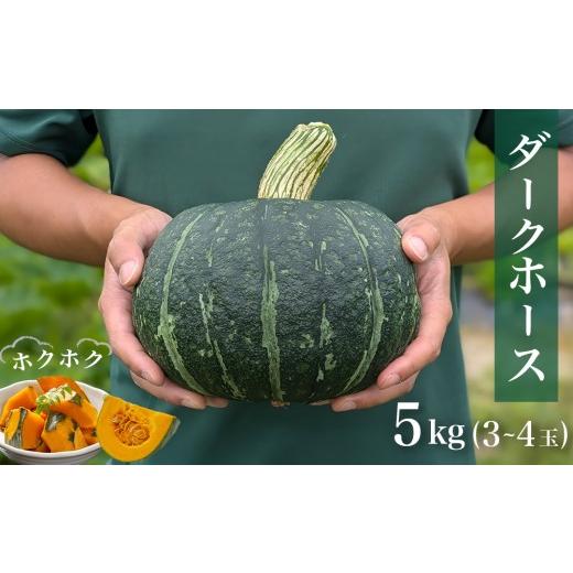 ふるさと納税 野菜類 宮城県 石巻市 石巻伝承野菜 かぼちゃ ダークホース 5キロ 3〜4玉 カボチャ 南瓜 野菜 石巻産 国産 甘い 濃厚 おかず スープ 宮城県 宮城…