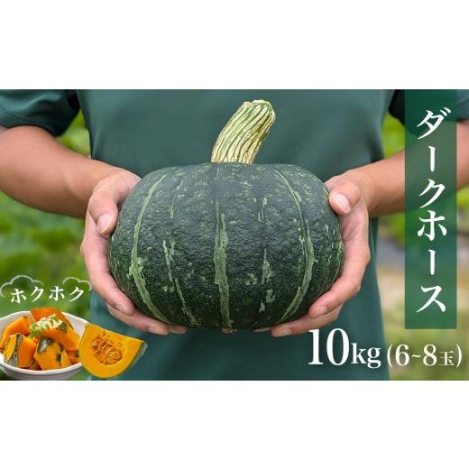 ふるさと納税 野菜類 宮城県 石巻市 石巻伝承野菜 かぼちゃ ダークホース 10キロ 6〜8玉 カボチャ 南瓜 野菜 石巻産 国産 甘い 濃厚 おかず スープ 宮城県 宮…