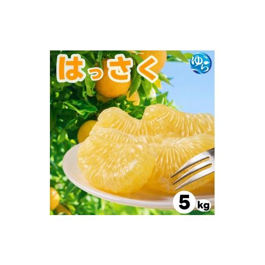 ふるさと納税 みかん・柑橘類 和歌山県 由良町 和歌山県産 はっさく 5kg サイズおまかせ / 八朔 ハッサク 柑橘 果物 和歌山 2027年2月中旬〜3月中旬に順次発…