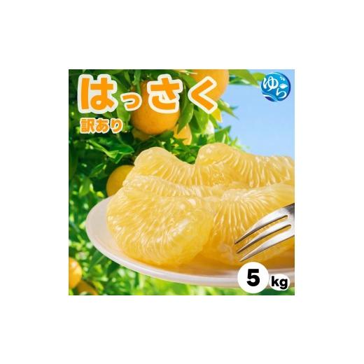 ふるさと納税 みかん・柑橘類 和歌山県 由良町 和歌山県産 はっさく 訳あり 5kg サイズおまかせ / 八朔 ハッサク 柑橘 果物 和歌山 2027年2月中旬〜3月中旬に…