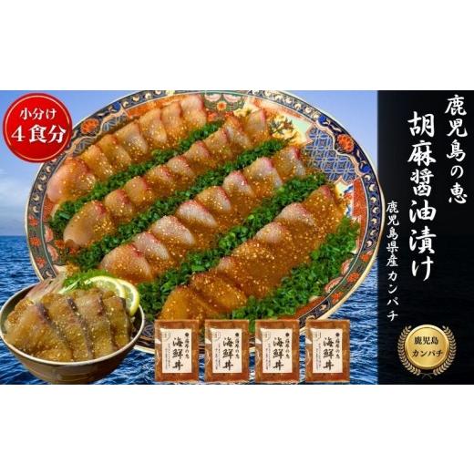 ふるさと納税 旬の鮮魚等 鹿児島県 鹿屋市 鹿屋市産 かんぱち 胡麻醤油漬け 海鮮丼セット 4食分 KN097-005-01