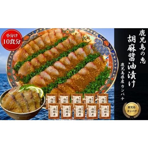 ふるさと納税 旬の鮮魚等 鹿児島県 鹿屋市 鹿屋市産 かんぱち 胡麻醤油漬け 海鮮丼セット 10食分 KN097-005-04