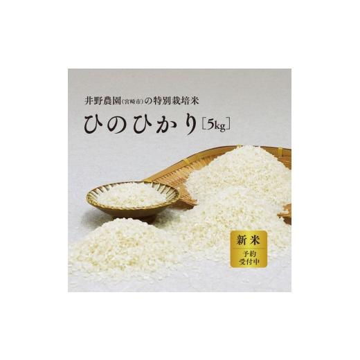 ふるさと納税 米 ヒノヒカリ 宮崎県 宮崎市 [令和8年度産 先行予約] 数量・期間限定 井野農園のひのひかり