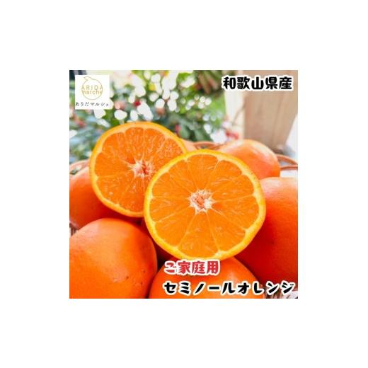 ふるさと納税 みかん・柑橘類 オレンジ 和歌山県 美浜町 セミノールオレンジ(ご家庭用) 7.5kg+200g(補償分) | 柑橘 フルーツ 果物 くだもの 食品 人気 おす…