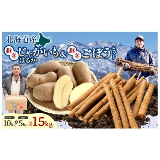 ふるさと納税 野菜類 じゃがいも 北海道 清水町 北海道産 越冬じゃがいも10kgと越冬ごぼう5kgセット じゃがいも いも 芋 はるか 産地直送 越冬 北海道産 ごぼ…