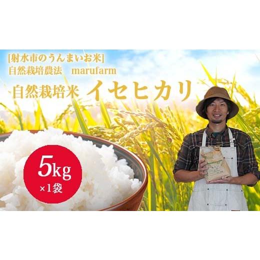 ふるさと納税 米 富山県 射水市 射水の美味しいお米 自然栽培農法 自然栽培農家 marufarm 自然栽培米「イセヒカリ」5kg 2026年10月〜発送