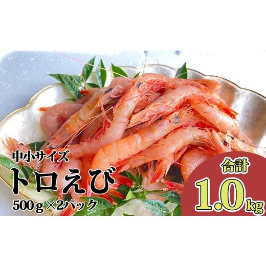 ふるさと納税 エビ 静岡県 沼津市 トロ えび 中 小 サイズ 1.0kg 冷凍 海老 500g 2パック お刺身 駿河湾 エビチリ エビ餃子 海鮮 1.0kg
