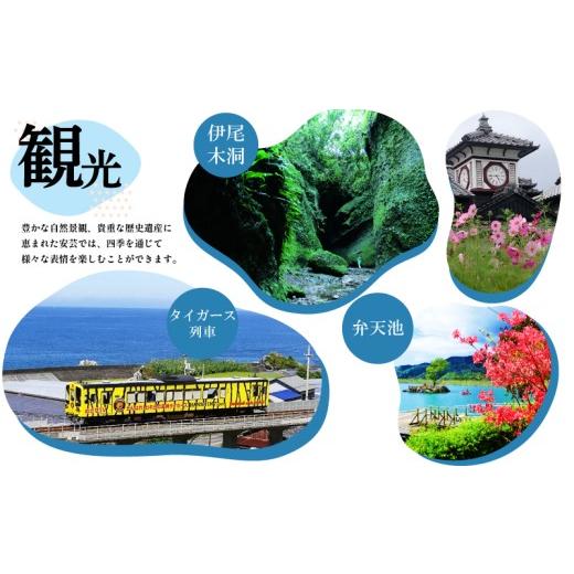 ふるさと納税 カツオ 高知県 安芸市 5回 定期便 鰹タタキ2.2kg ぽん酢付き 高知 本場 カツオ人気 かつおのタタキ 冷凍 カツオのタタキ 鰹 瞬間冷凍 一本釣り …の画像