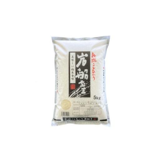 ふるさと納税 米 コシヒカリ 新潟県 村上市 令和7年産米 新潟県村上市 岩船産 コシヒカリ 精米 5kg 1033006