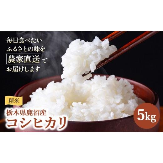 ふるさと納税 米 コシヒカリ 栃木県 鹿沼市 令和7年度産 コシヒカリ 精米 5kg | 白米 米 お米 こしひかり 農家直送 栃木 鹿沼市