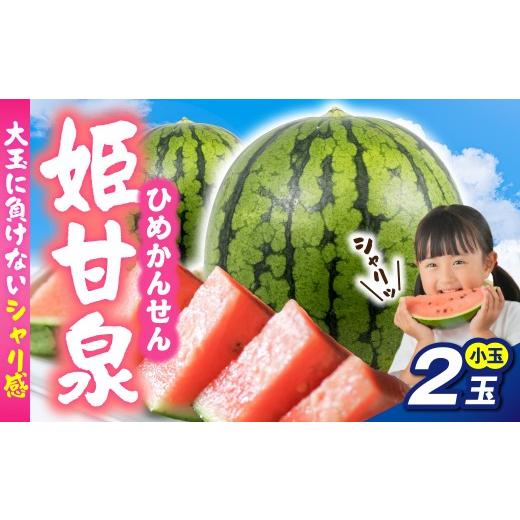 ふるさと納税 スイカ 青森県 五所川原市 7月下旬以降順次発送 すいか 2玉 小玉 姫甘泉 先行予約 1玉あたり約2~3kg 青森県 五所川原市 フルーツ 果物 スイカ…