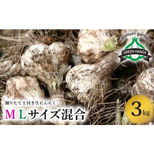 ふるさと納税 野菜類 薬味 青森県 五所川原市 2026年6月下旬発送開始 掘りたて 生 にんにく 青森県産 M L サイズ混合 3kg (土つき) ガーリック ニンニ…