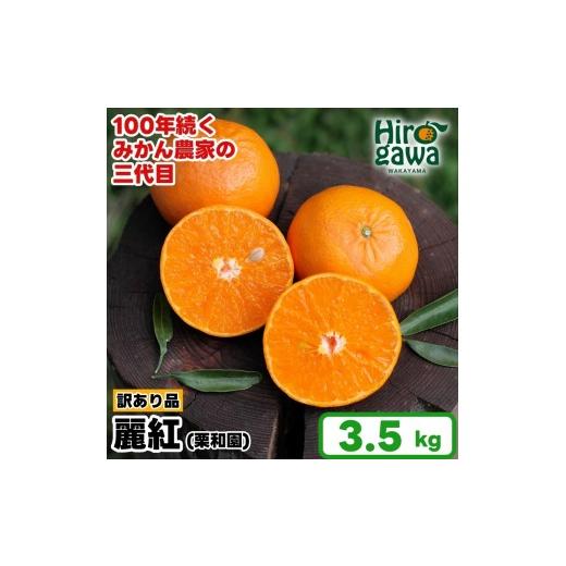 ふるさと納税 みかん・柑橘類 和歌山県 広川町 麗紅 れいこう 訳あり 3.5kg / オレンジ 甘い 家庭用 和歌山 有田 柑橘 2027年2月中旬〜3月下旬に順次発送 krw…