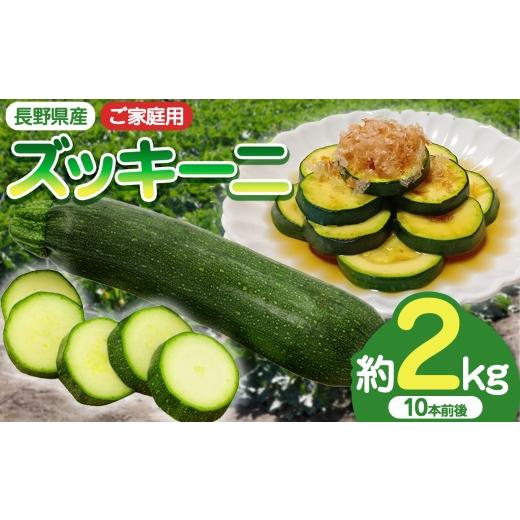 ふるさと納税 野菜類 長野県 伊那市 ズッキーニ 信州産 ズッキーニ ご家庭用 約2kg | ズッキーニ 野菜 収穫 鮮度 料理 伊那 伊那産 長野県 信州 ふるさと納税…