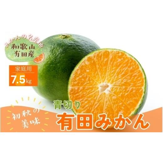 ふるさと納税 果物類 みかん 和歌山県 由良町 先行予約 有田育ちの ご家庭用 訳あり 青切り 有田みかん 7.5kg+200g(痛み補償分) 先行予約 2026年9月中旬〜10…