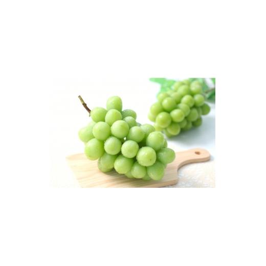 ふるさと納税 ぶどう 山梨県 山梨市 2026年発送 山梨県産・シャインマスカット(約1kg) 秀品 [2026年9月中旬〜10月下旬] 1731692