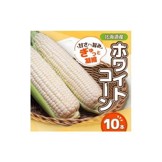 ふるさと納税 とうもろこし 北海道 帯広市 先行受付 甘さ旨みぎゅっと凝縮ホワイトコーン 10本 1676327
