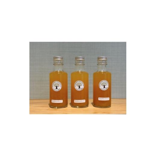 ふるさと納税 調味料・油 鹿児島県 枕崎市 父の日ギフト 濃厚カクテルシロップ 柑橘香る たんかんシロップ A3-386F 1731728