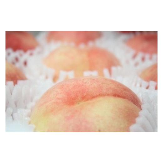 ふるさと納税 もも 京都府 京丹後市 ブレンドファーム厳選 京丹後おススメフルーツ定期便3種(桃、シャインマスカット、新興梨) 桃 シャインマスカット 新興…