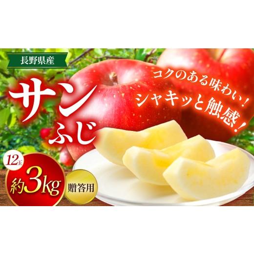 ふるさと納税 りんご 長野県 伊那市 りんご 信州 上伊那産 贈答用 サンふじ 約3kg (12玉) | 果物 フルーツ りんご 林檎 贈答用 サンふじ 上伊那産 長野県 伊…