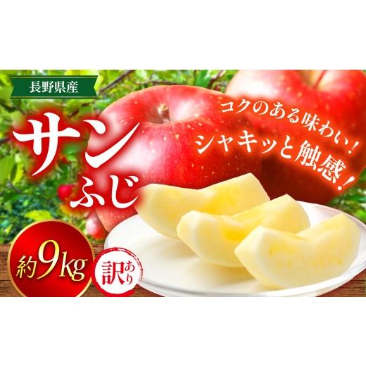 ふるさと納税 りんご 長野県 伊那市 りんご 信州 上伊那産 訳あり サンふじ 約9kg (玉数おまかせ) | 果物 フルーツ りんご 林檎 訳あり サンふじ 上伊那産 …