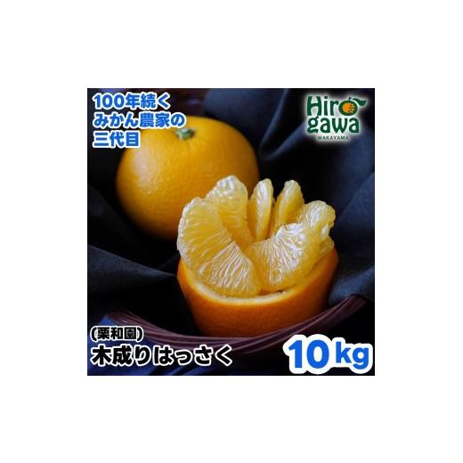ふるさと納税 みかん・柑橘類 和歌山県 広川町 木成り はっさく 10kg サイズ混合 / 八朔 完熟 甘い 和歌山 柑橘 2027年3月中旬〜4月上旬に順次発送 krw022-r-…
