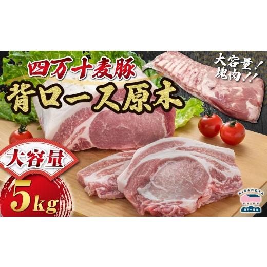 ふるさと納税 豚肉 ロース 高知県 四万十町 期間限定 四万十麦豚 背ロース原木 約5kg  肉 豚肉 ブランド豚肉 原木肉 ブロック肉 ロース 四万十町 冷…