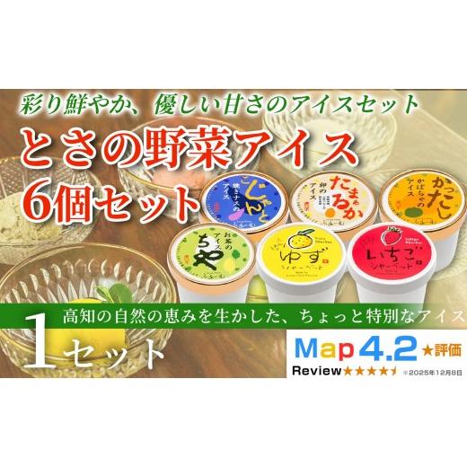 ふるさと納税 菓子 アイス 高知県 安芸市 とさの野菜アイス 6種 セット 100ml×6個 アイスクリーム 人気 ご当地アイス 高知県 焼きナス 卵 かぼちゃ お茶 ゆず…