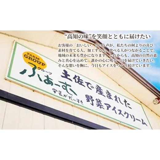 ふるさと納税 菓子 アイス 高知県 安芸市 とさの野菜アイス 6種 18個 セット ( 100ml×6個×3回定期便 ) アイスクリーム 人気 ご当地アイス 高知県 焼きナス …の画像