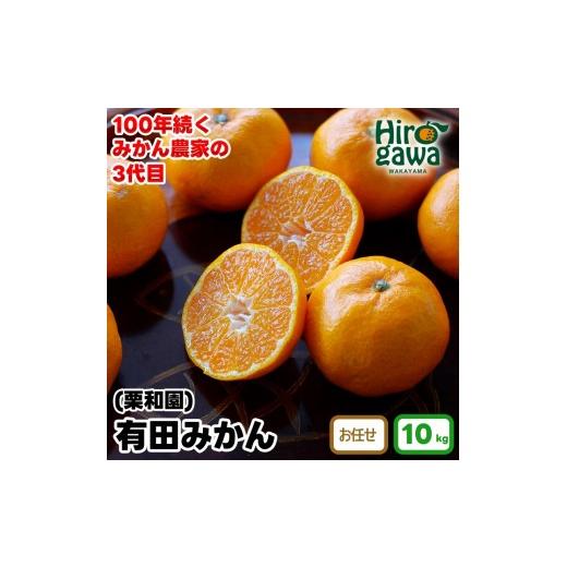 ふるさと納税 果物類 みかん 和歌山県 広川町 有田 みかん 10kg 栗和園 / 温州みかん 有田みかん 甘い 和歌山 柑橘 2026年11月上旬〜12月下旬に順次発送 krw0…