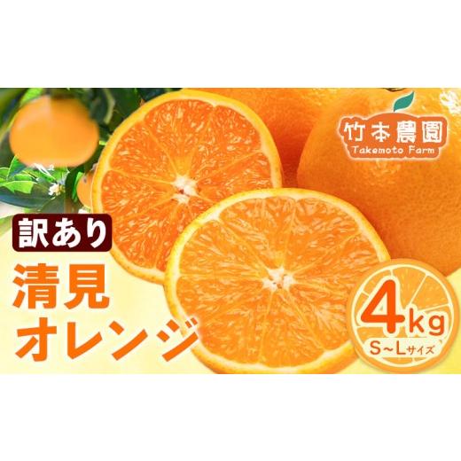 ふるさと納税 みかん・柑橘類 和歌山県 日高川町 訳あり 清見オレンジ サイズ混合 約4kg[2026年2月中旬-5月中旬頃出荷]竹本農園 和歌山県 日高川町 清見 オ…