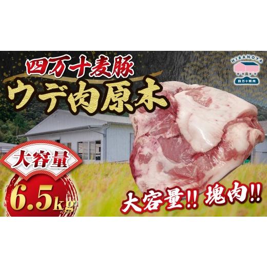 ふるさと納税 豚肉 高知県 四万十町 期間限定 四万十麦豚 ウデ肉原木 約6.5kg 肉 豚肉 ブランド豚肉 原木肉 ブロック肉 ウデ 四万十町 冷凍 麦豚 と…