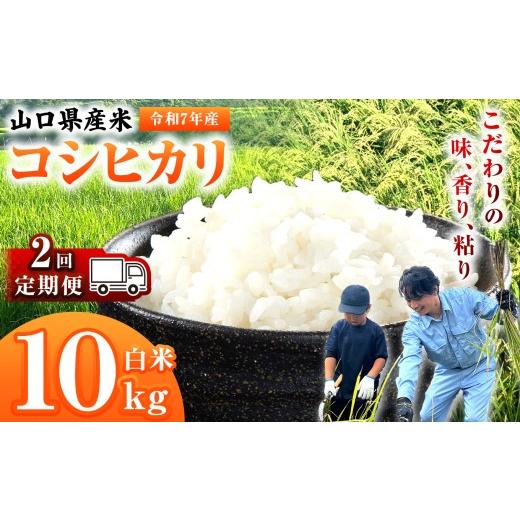 ふるさと納税 米 コシヒカリ 山口県 平生町 定期便 令和7年産 山口県産米 コシヒカリ 10kg 2回 ｜ 令和7年産 こしひかり 山口県産米 こめ お米 コメ 白米 精…_1