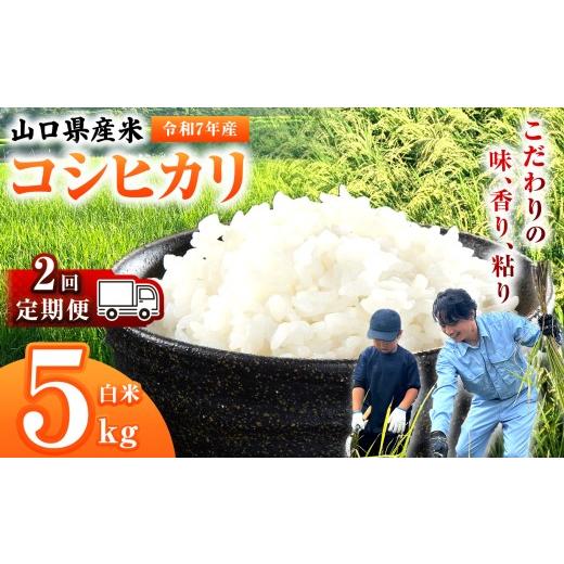 ふるさと納税 米 コシヒカリ 山口県 平生町 定期便 令和7年産 山口県産米 コシヒカリ 5kg 2回 ｜ 令和7年産 こしひかり 山口県産米 こめ お米 コメ 白米 精米…_1